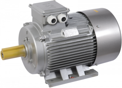 Электродвигатель АИР200M2 (iEK) 1081 - лапы