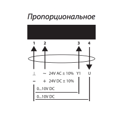 prop.jpg
