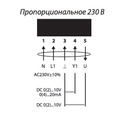 230_V_.jpg