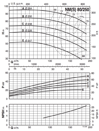 NM 80:250.jpg