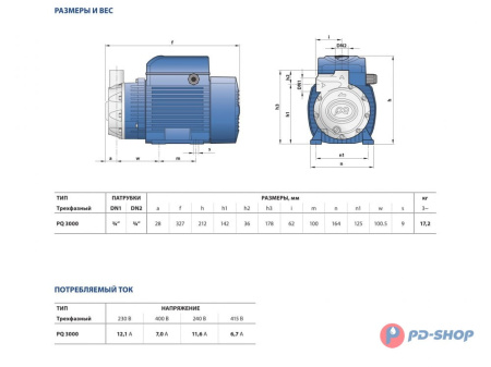Насос вихревой Pedrollo PQ 3000